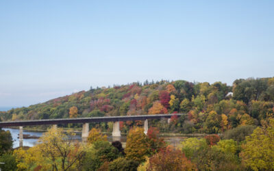 Your Fall Bucket List for Ontario’s West Coast